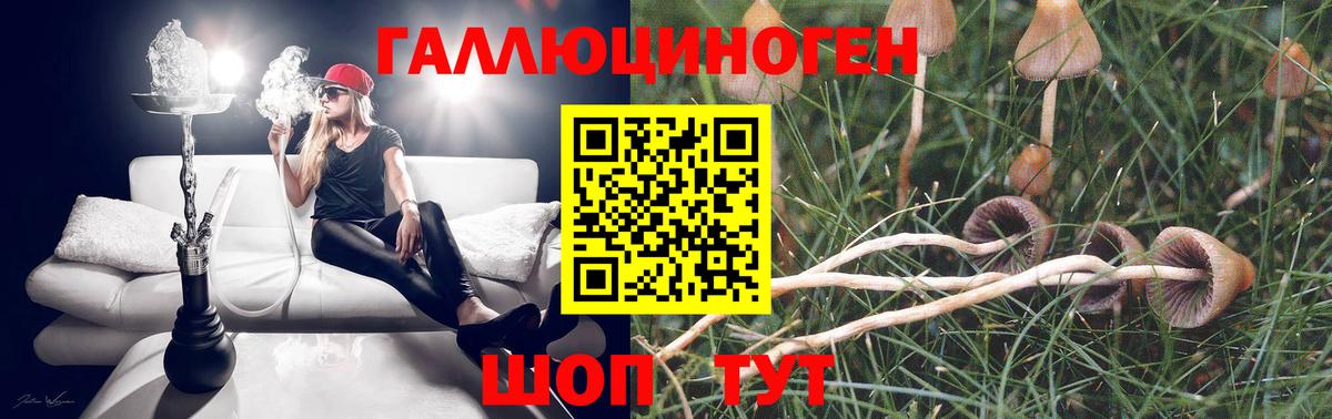 Галлюциногенные грибы мухоморы  Вход с VPN  Скопин  Галлюциногенные грибы Magic Shrooms 